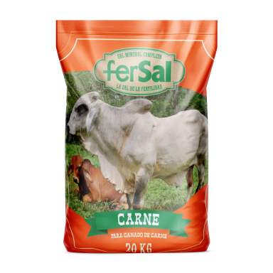 /images/productos/fundas-quint-sal.png /images/productos/fundas-quint-sal.png